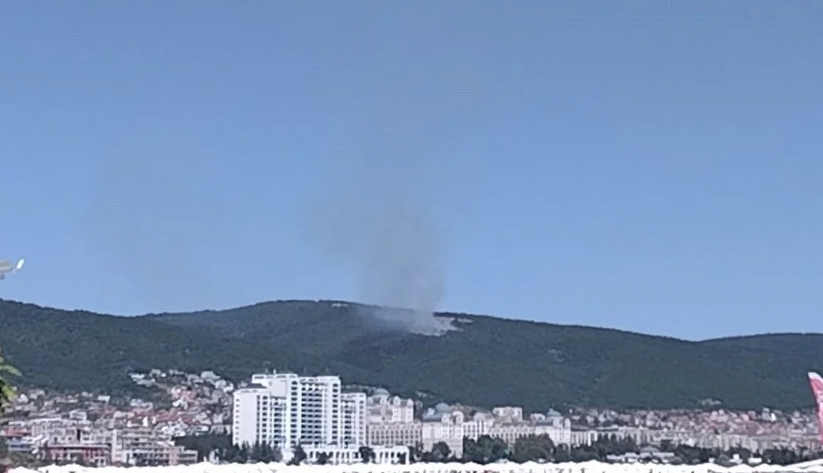 Пламна пожар в гората над Свети Влас