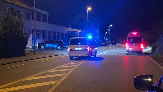Няколко души са пострадали при стрелба на рейв парти в Швейцария