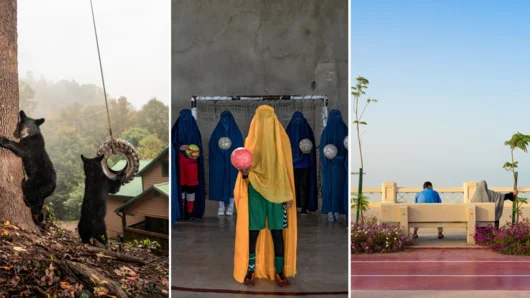 Най-добрата фотография от света: Sony Photography Awards 2023