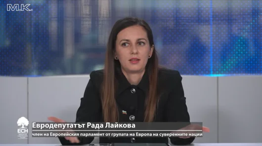 Коя е евродепутатката, която смята, че Брюксел слага "срок на годност" на заплатите