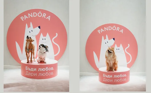 Pandora & Pet Sisters събраха над 2000 лв. за бездомните животни с благотворително събитие 