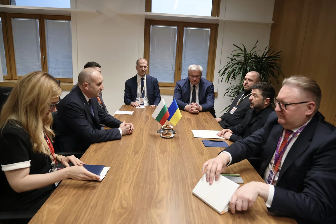 Румен Радев е предложил на Зеленски да строят заедно АЕЦ "Белене"