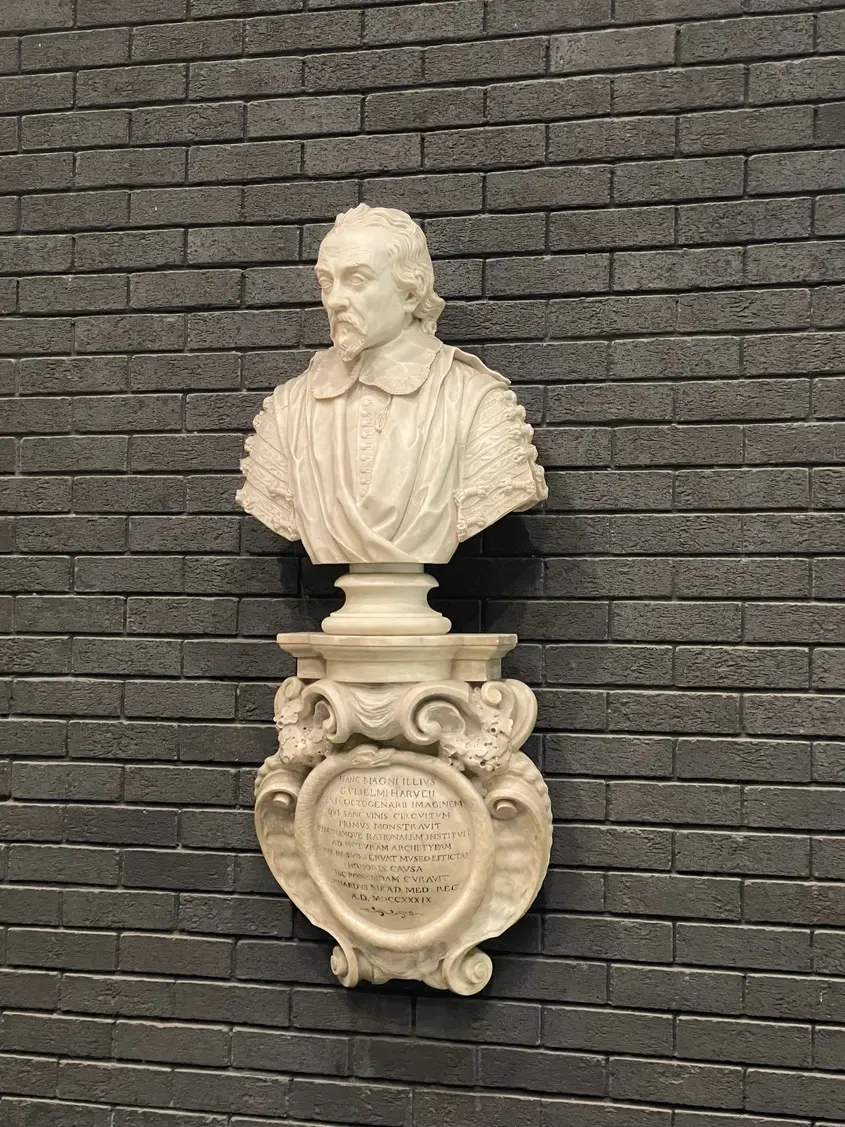 London Royal College of Physicians