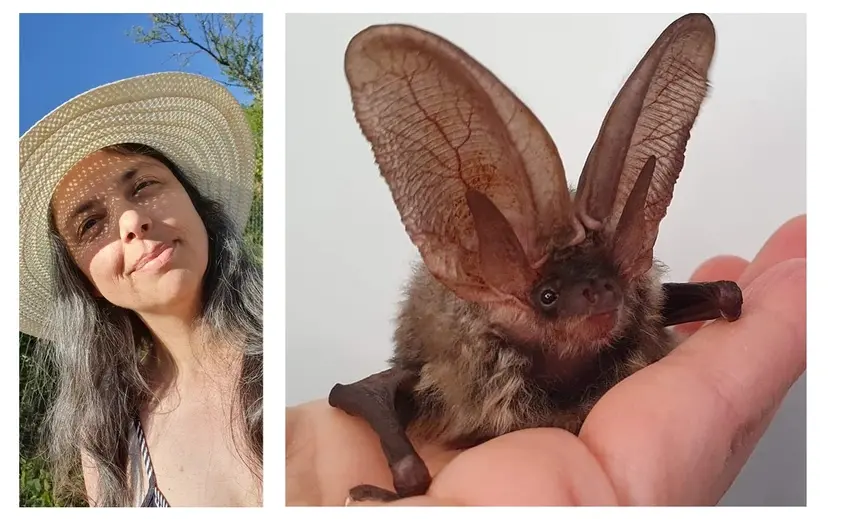 BAT WORLD