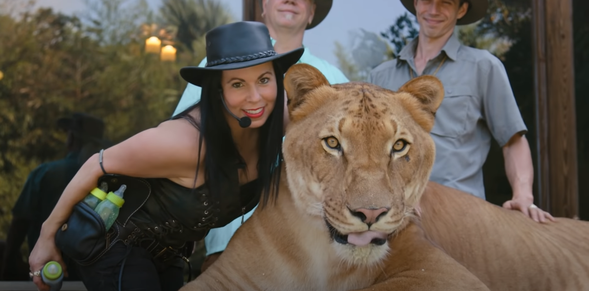 Защо "Tiger King" остана без награда "Еми" за креативни изкуства