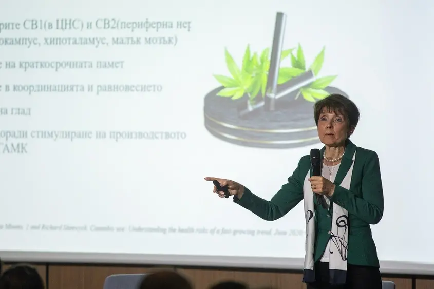 София Ангелова