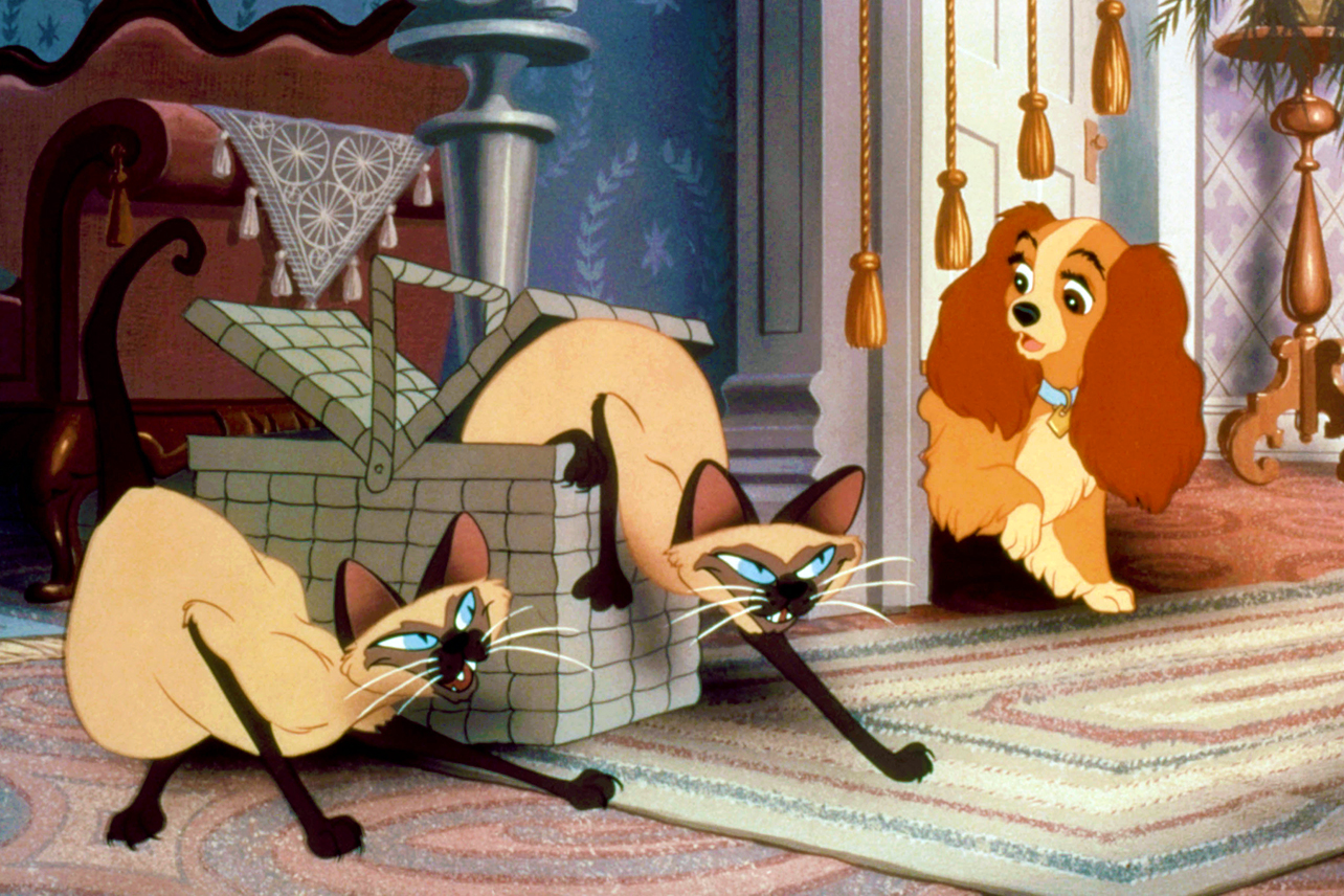 От "Питър Пан" до "Аладин": Disney+ ще пуска предупреждения преди класическите си анимации